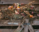 Zaloen kompostu: Vytvote organick zdroj pro v zahradn odpad