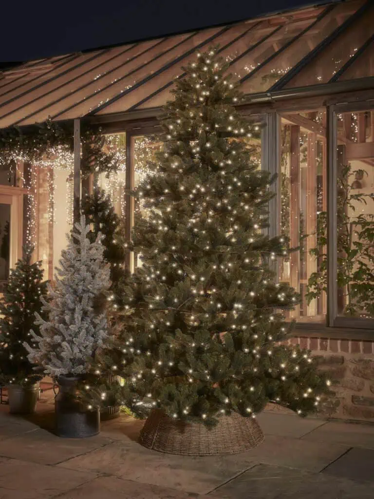Výběr venkovního vánočního stromku