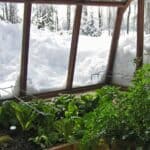 Ochrana rostlin ped zimou: nejlep metody a materily