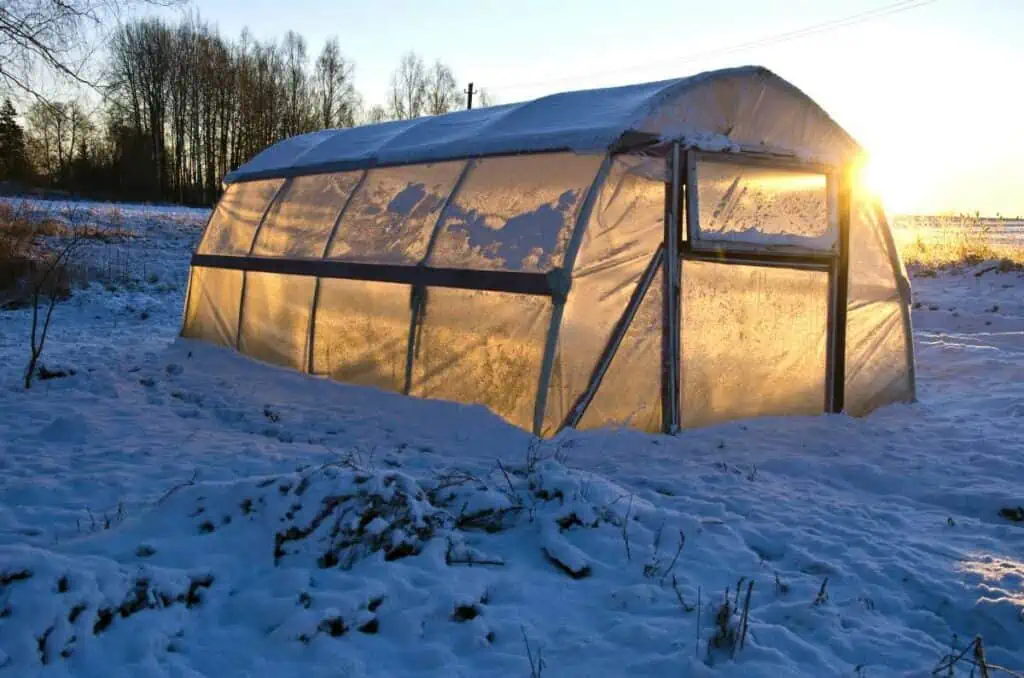 Zimní skleník: pěstujte zeleninu a získejte tipy na vytápění