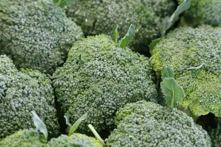 Brokolice na talíři: skvostná zelenina plná vitamínů