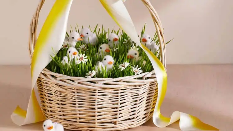 Velikonoční košíky: 9 nejlepších nápadů