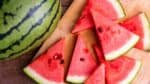 Jak pstovat melouny: kompletn nvod