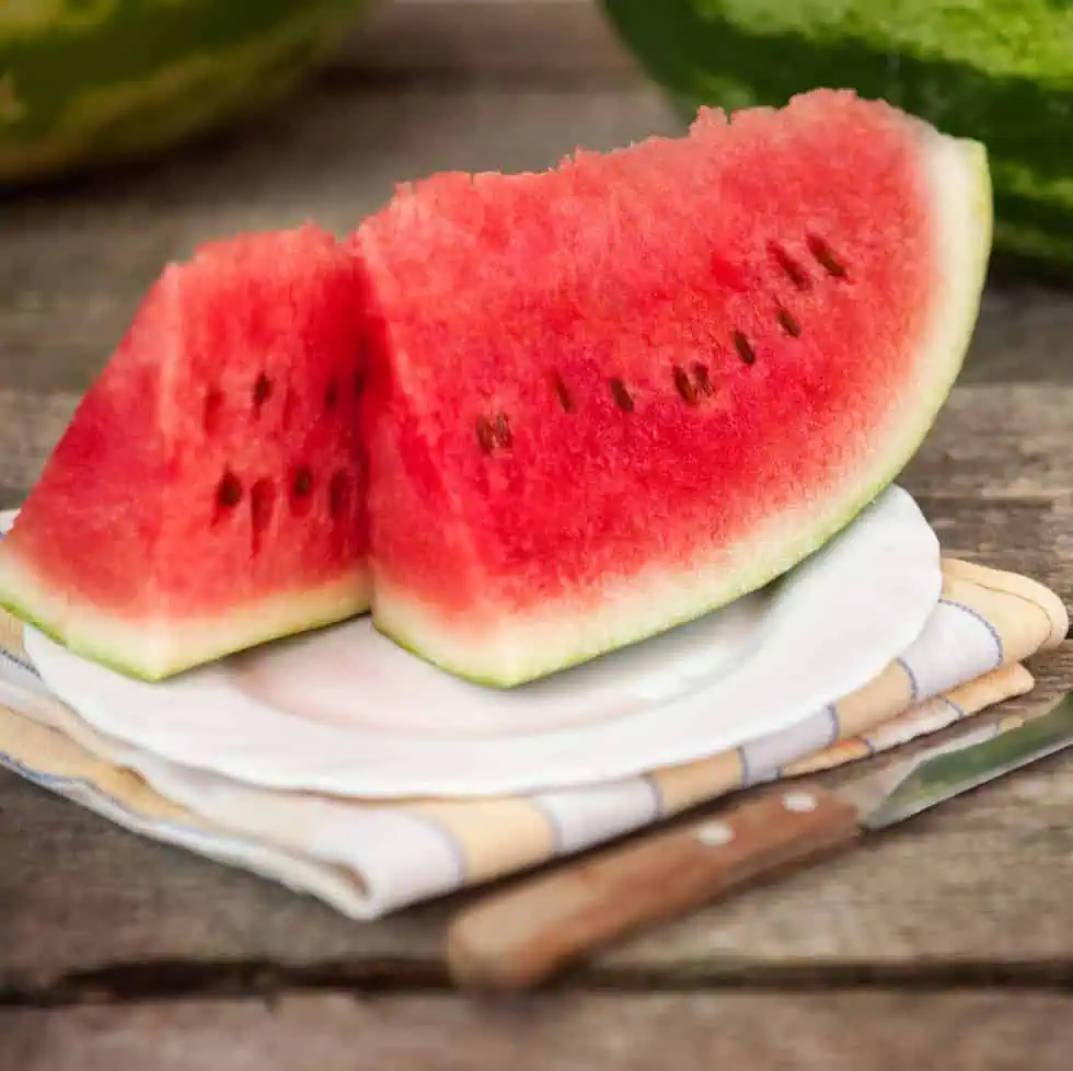 Jak pěstovat melouny: kompletní návod