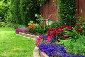 12 tipů: plánování květinové zahrady