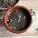 Typy půdy: jak určit, jakou půdu máte na zahradě?