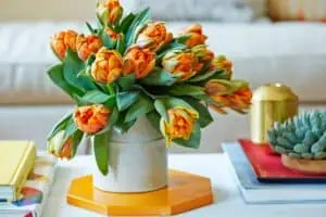 8 tipů: jak prodloužit životnost tulipánových kyticí