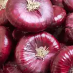 Nejlepší odrůdy cibule k jarní výsadbě: praktické tipy