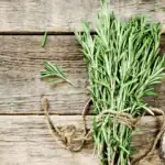 Pěstování bylinek v květináčích: vlastní aromatická zahrada