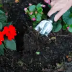 Znáte typ své půdy? praktické tipy pro úspěšné zahradničení