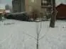 Bez nzvu