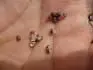 .4