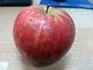 Jablko1