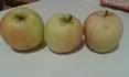 Obrzek jablko c.4