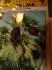 Chamaerops Elegans - obal s fotkou palmy a semen