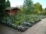 Nkupy v zahradnictv v Polsku