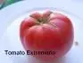 Tomate Extremeo