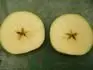 Fndlyho jablko 1