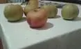 Obrzek jablko c.6