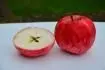 Obrzek Jablko