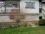 Japonsk vrba