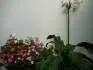 Kn