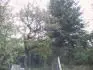 tresen 2
