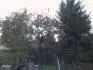 tresen 3