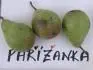 Paanka