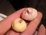 2 "poupata"