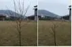 stromek ped a po ezu