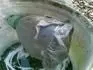 po zim je teba nechat umt stechu a potom jet vyistit filtr