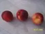vypad jako nektarinka
