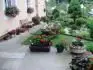 Moje mukty.