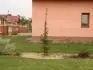 Habr obecn