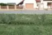 pta zob