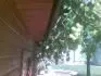 Pamjati Zacharovoj ahan pozd rny na zhradnej klni
