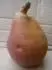 otzka ?