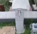 Zahradn kohoutek