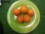 Orane