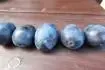 Foto5