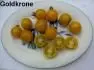 Goldkrone