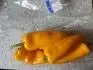 Paprika Lidl Tribelli