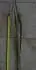 Zplotl Forsythie 
