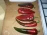 Pimiento Najerano Rojo a neznm odrda