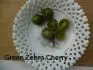 Green Zebra Cherry