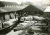 Foto r.1890 Holandsko
