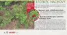 Ledenec 1