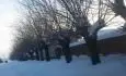 Moruov alej v zim