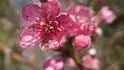 Springtime
